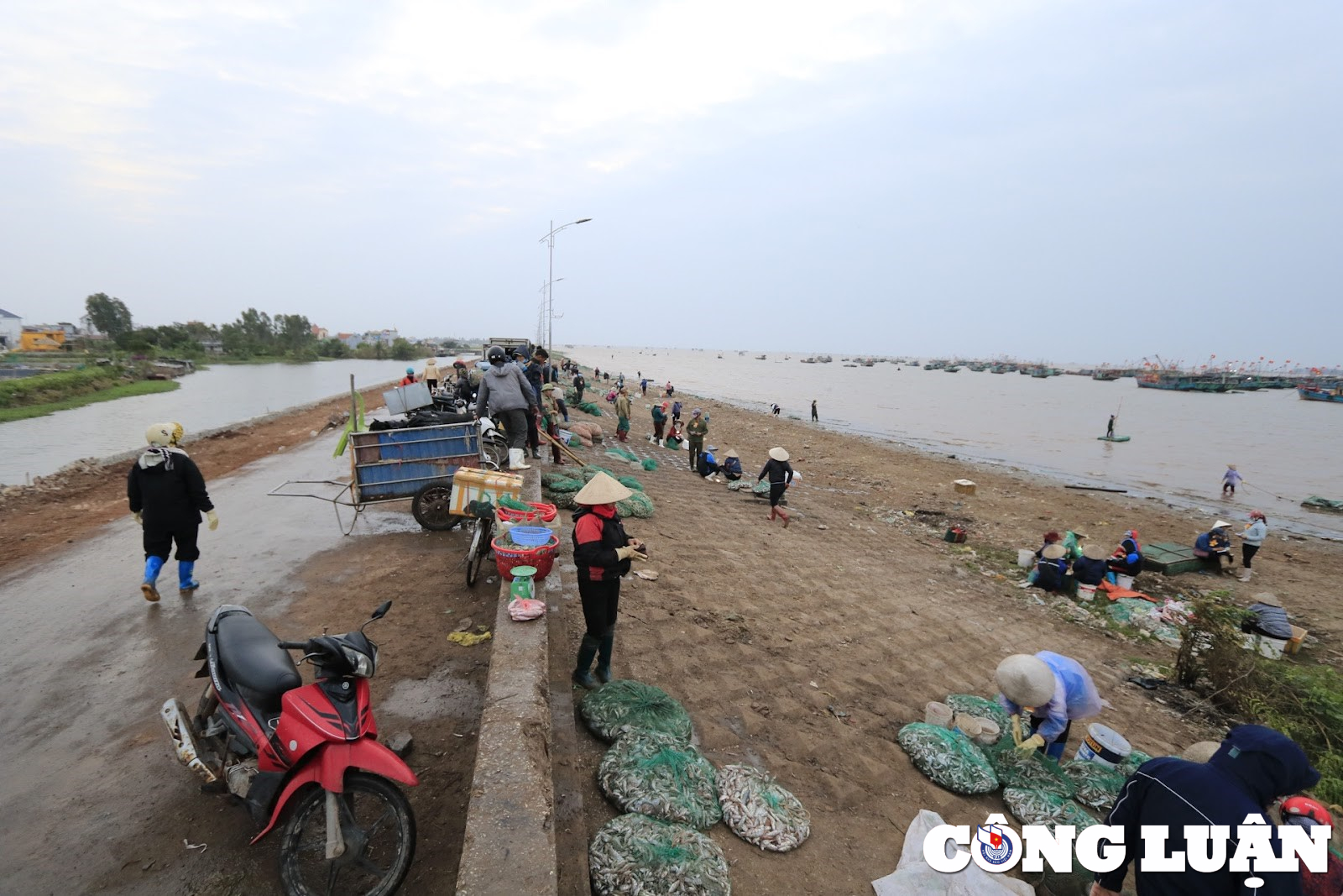 nam dinh nhon nhip phien cho ca sang ben giao hai hinh 6