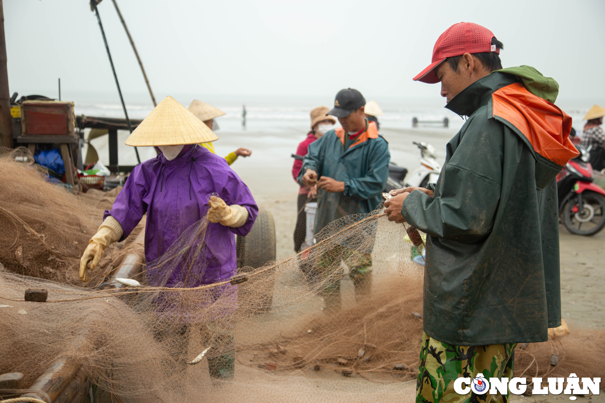 thanh hoa trung mua ca trich ngu dan thu tien trieu moi ngay hinh 3