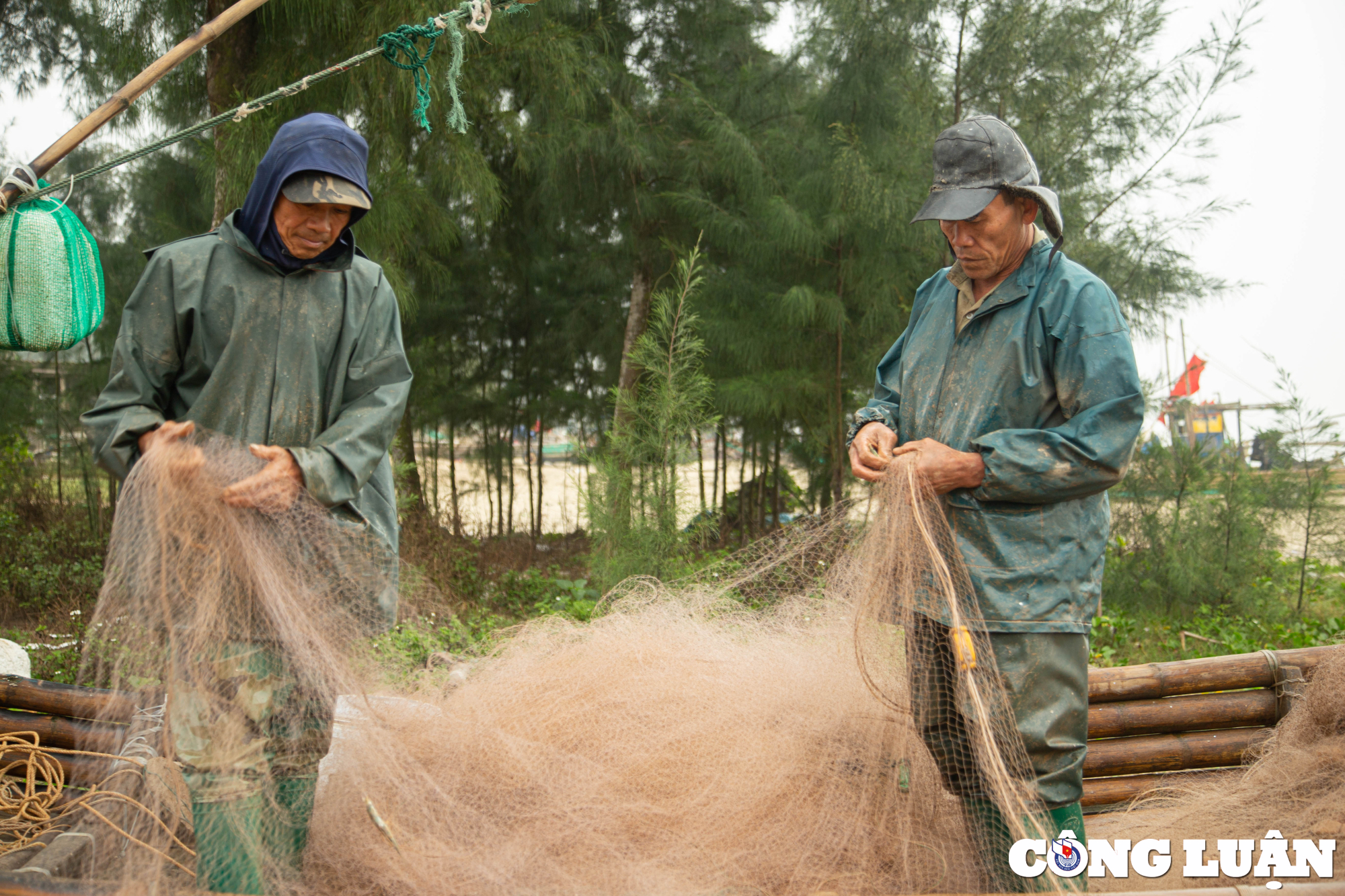 thanh hoa trung mua ca trich ngu dan thu tien trieu moi ngay hinh 4