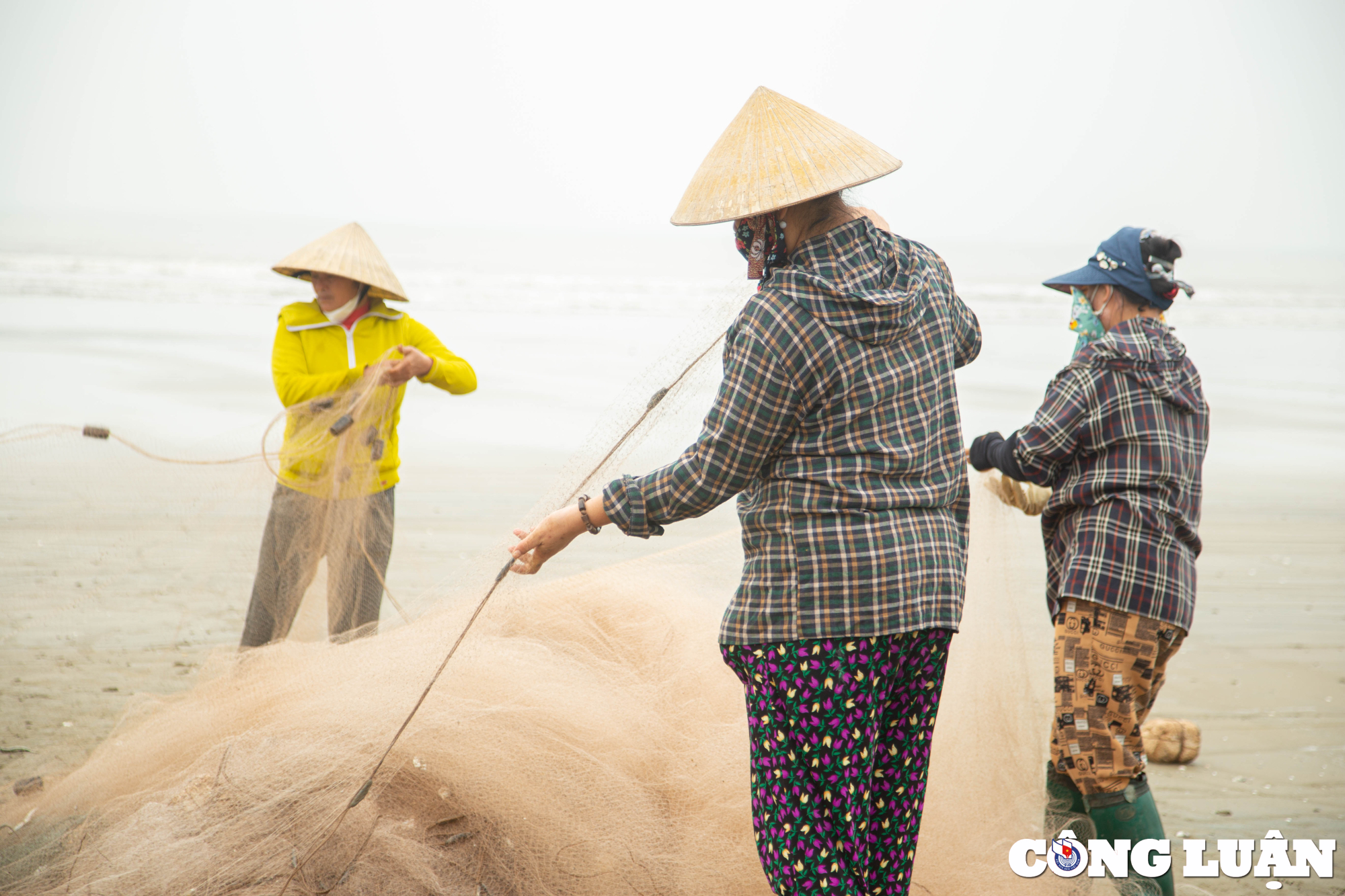 thanh hoa trung mua ca trich ngu dan thu tien trieu moi ngay hinh 9