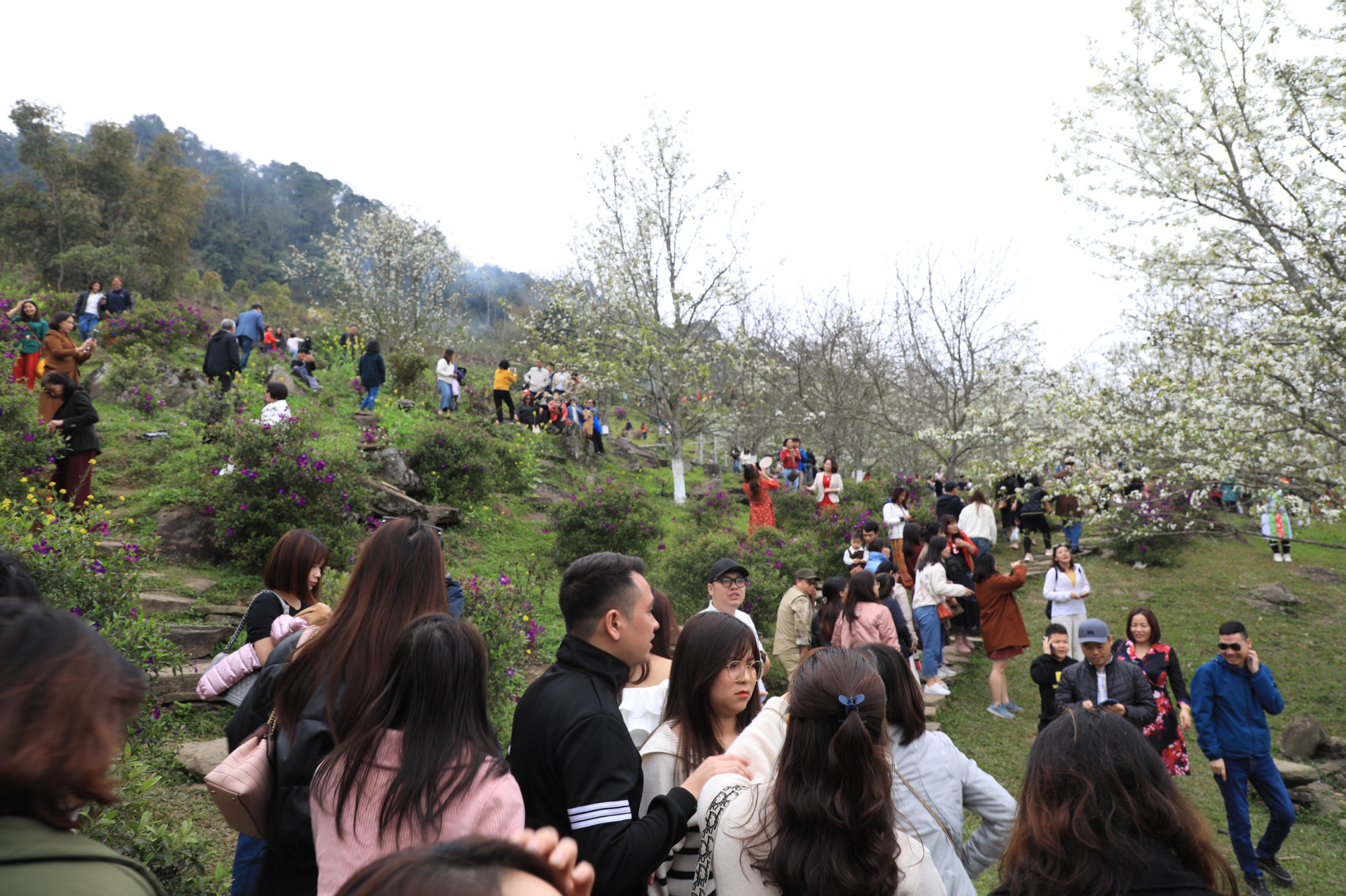 du khach dua nhau check in vuon hoa le no trang nhu tuyet o na hang hinh 3