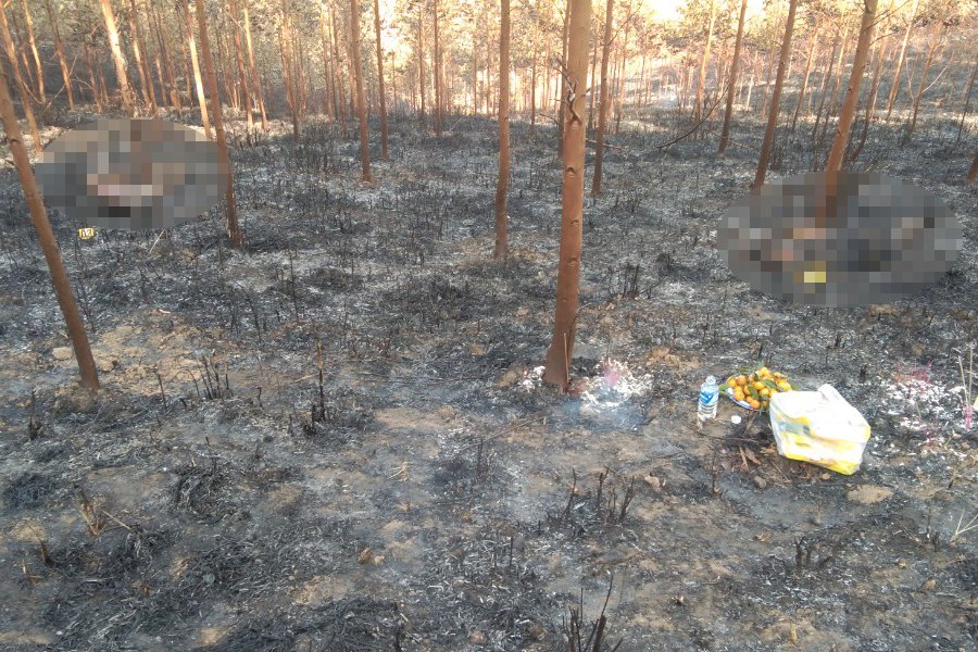 Khẩn trương làm rõ nguyên nhân vụ cháy rừng khiến 2 người tử vong ở Kon Tum