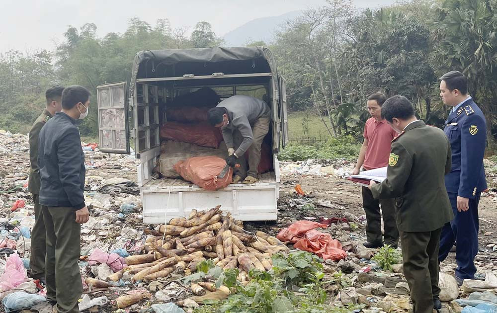 lao cai mot huyen cam khai thac mang rung tieu huy hon 1000kg mang vau bi thu giu hinh 1