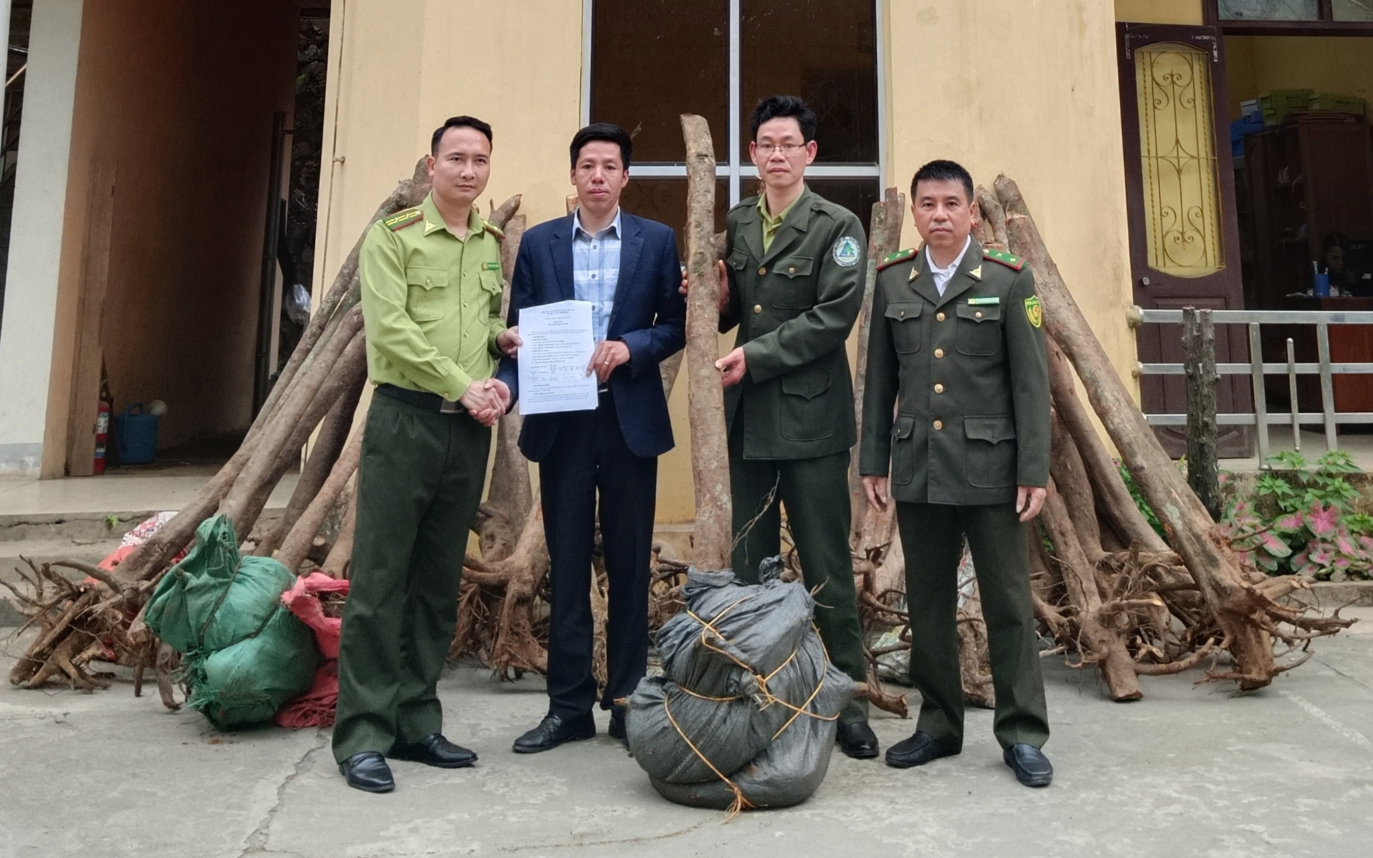 Hạt kiểm lâm huyện Văn Bàn (Lào Cai) bàn giao 39 cây mẫu đơn rừng cho Trung tâm cứu hộ, bảo tồn và phát triển sinh vật Hoàng Liên. Ảnh: PNT.