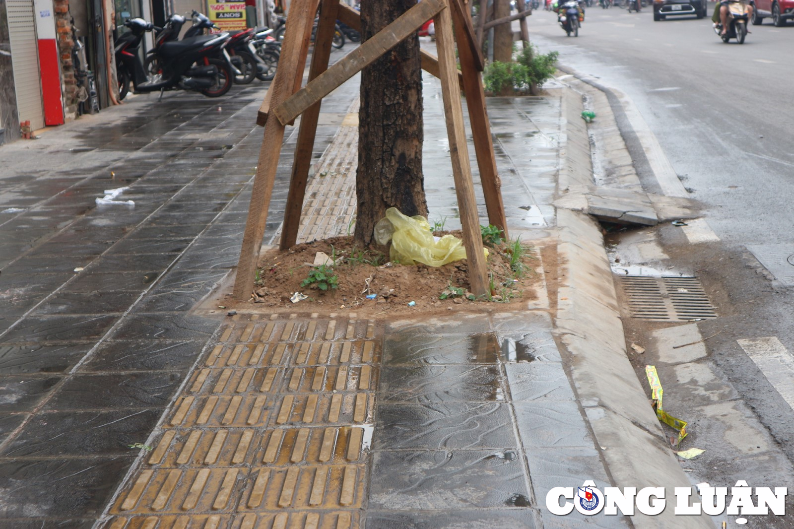 ha noi nhieu cot dien cay xanh nam chem che tren phan duong cua nguoi khiem thi hinh 3