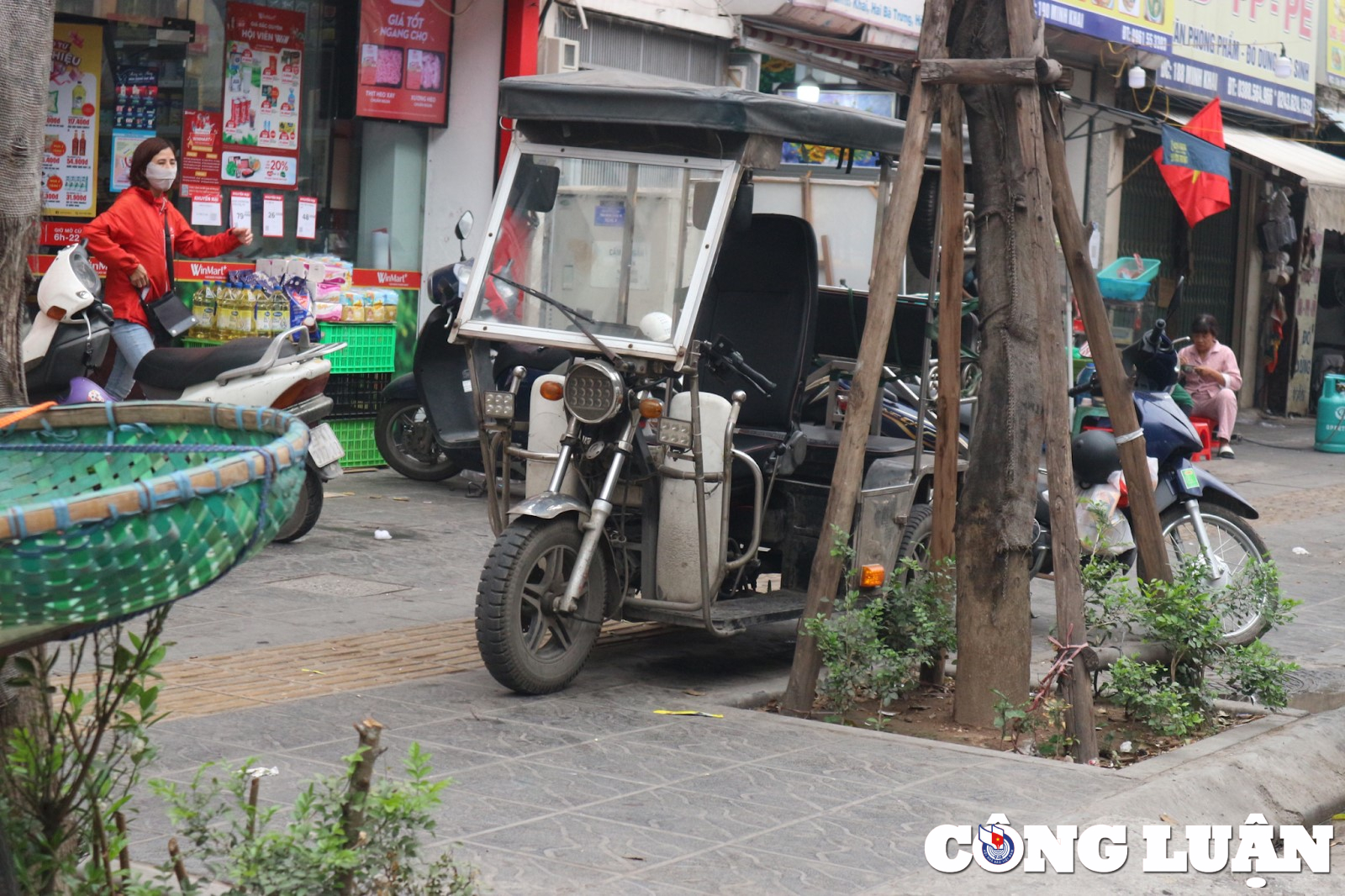 ha noi nhieu cot dien cay xanh nam chem che tren phan duong cua nguoi khiem thi hinh 5