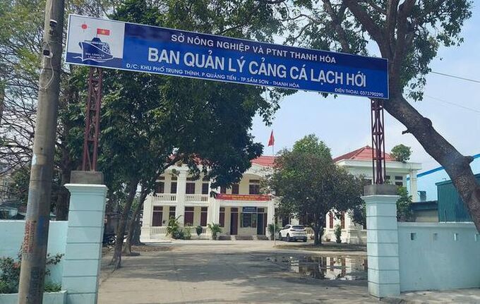 thanh lap ban quan ly cang ca thanh hoa hinh 1