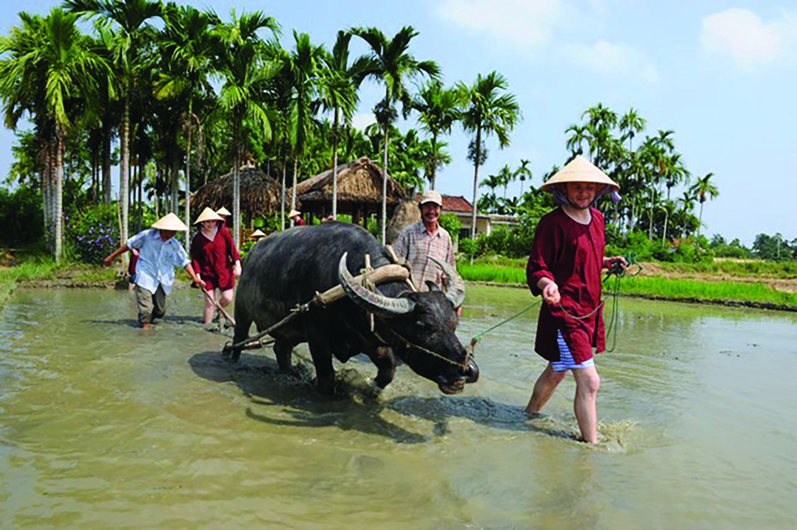 loc yen quang nam xay dung phat trien du lich nong thon hinh 3