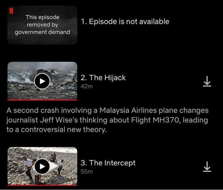 netflix go noi dung sai su that ve viet nam trong phim mh370 hinh 1
