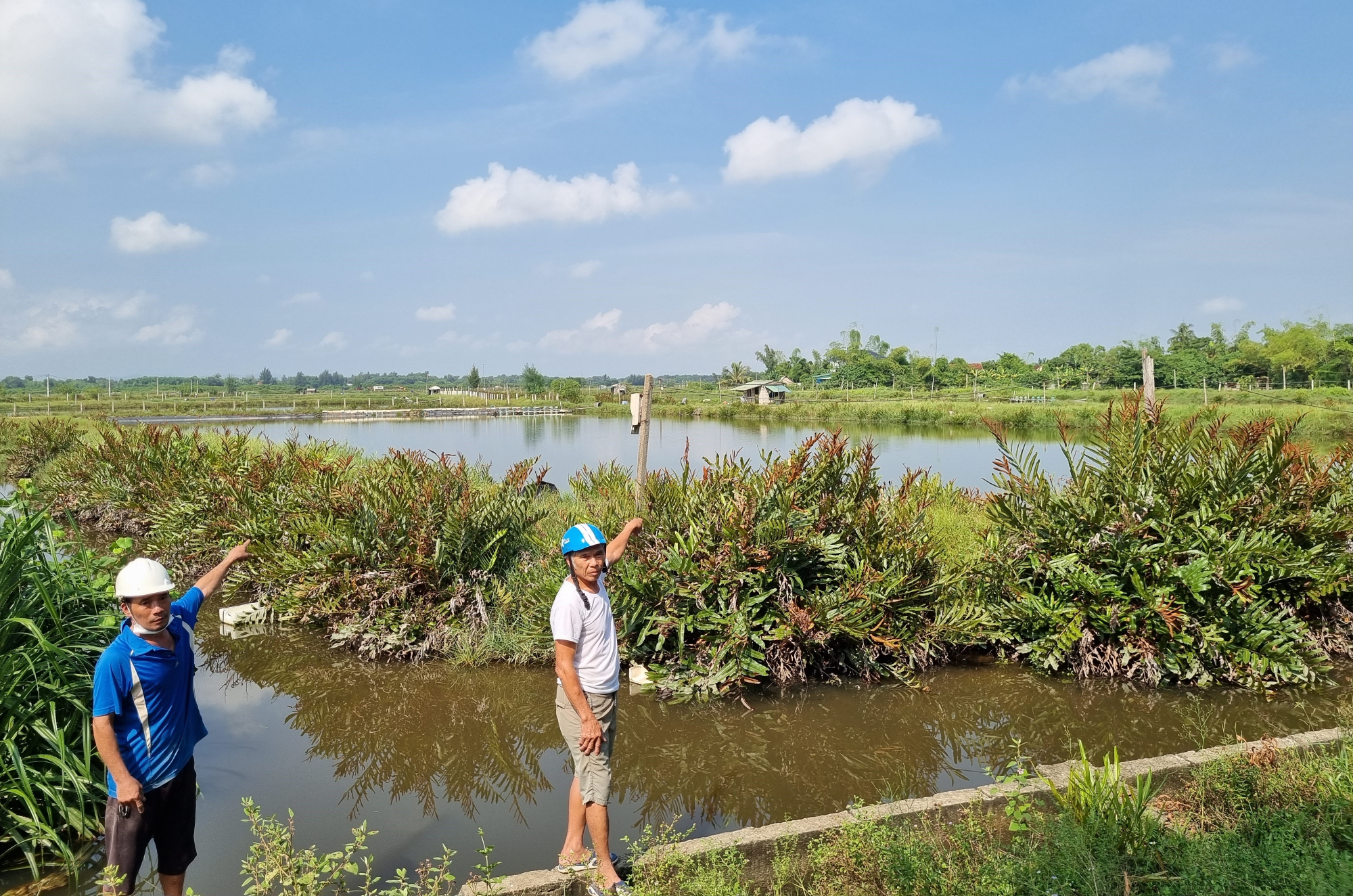 loc ha ha tinh nguoi dan mong moi xu ly dut diem vu xa cho thue dat trai tham quyen hinh 2