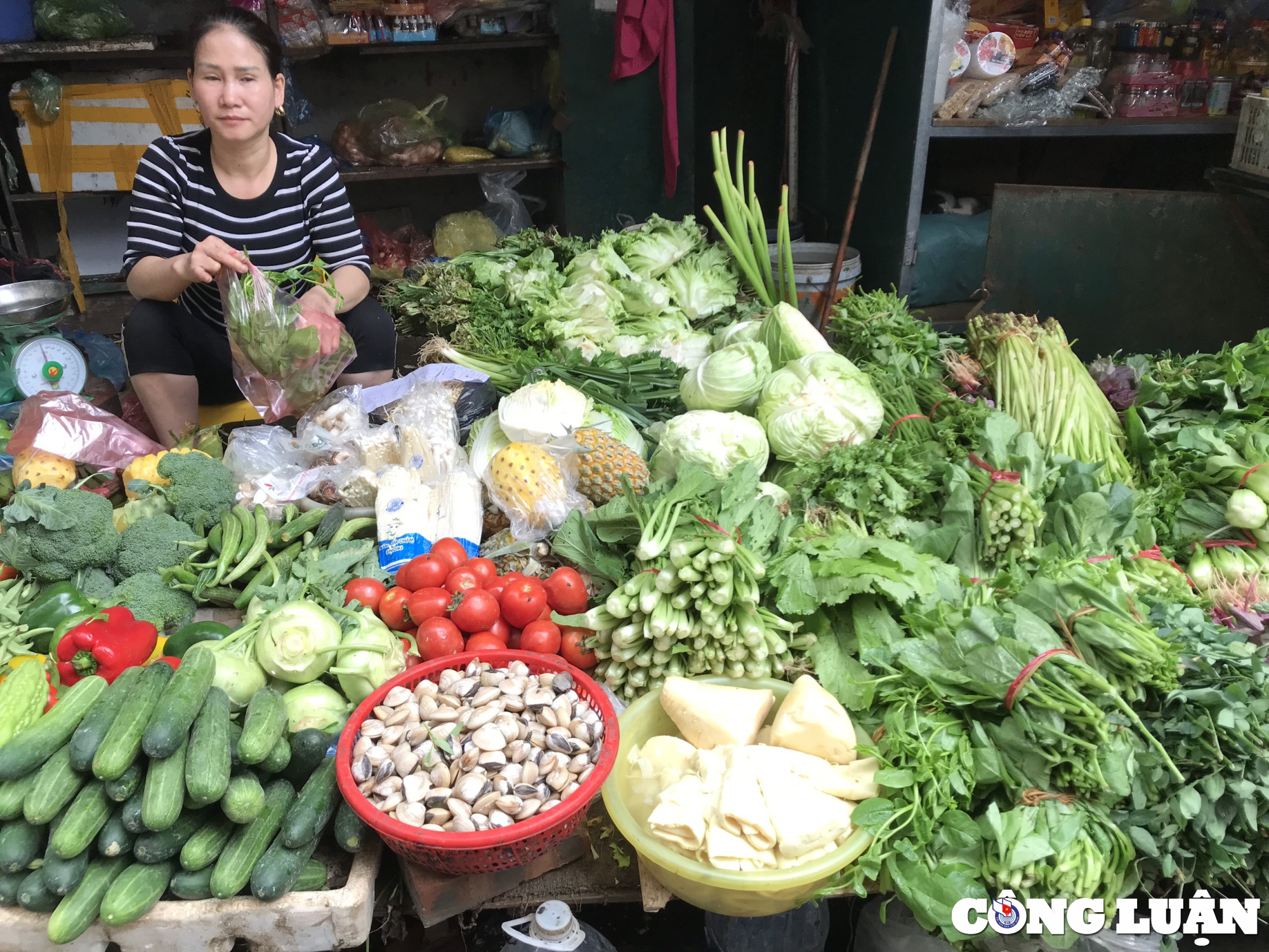 ha noi nguon cung thieu hut gia rau xanh ruc rich tang tro lai hinh 1