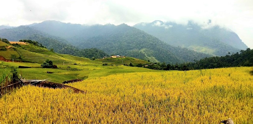 khai thac tiem nang du lich o dan thang lao cai hinh 2