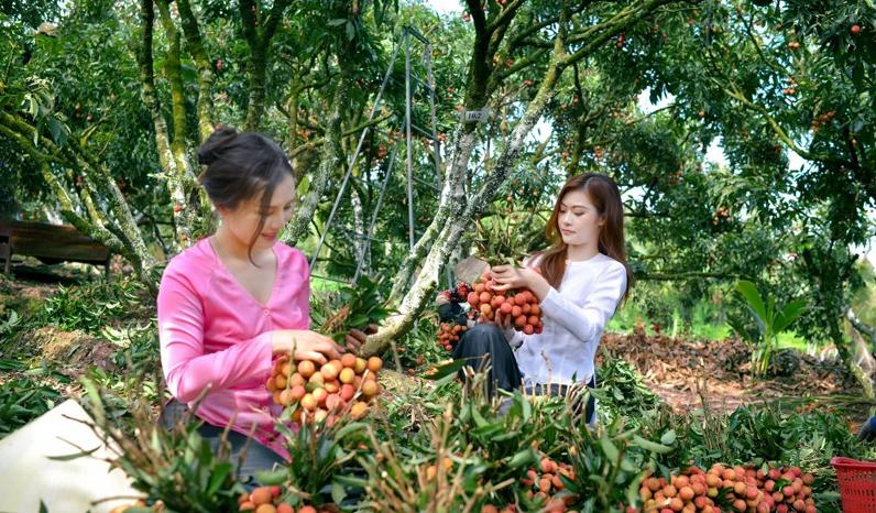 du lich thanh ha hai duong huong den chuyen nghiep hinh 3