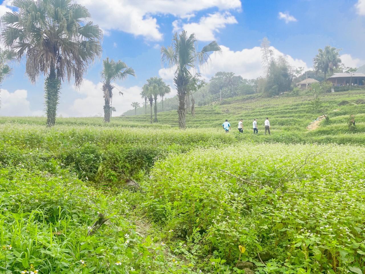 thai nguyen dam bao hoat dong du lich trong ky nghi le hinh 1