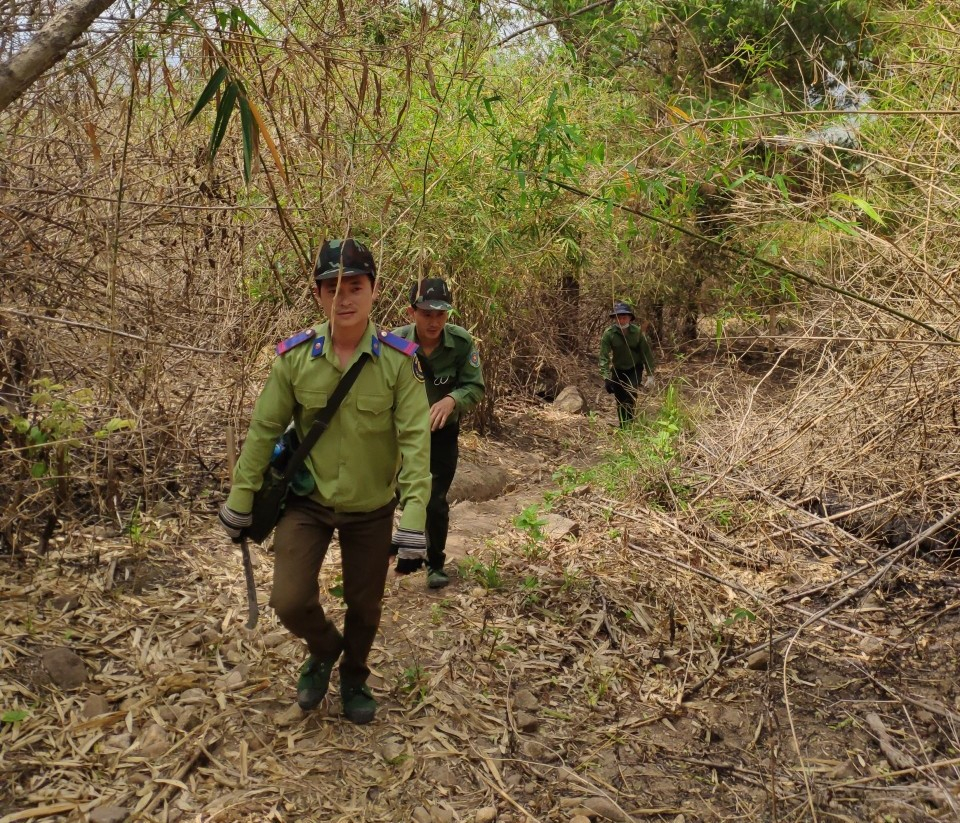 gia lai nhan vien bao ve rung nghi viec hang loat mot nguoi phai ganh tren vai hon 3000 ha rung hinh 2