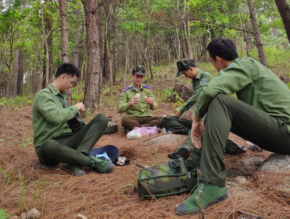 gia lai nhan vien bao ve rung nghi viec hang loat mot nguoi phai ganh tren vai hon 3000 ha rung hinh 3