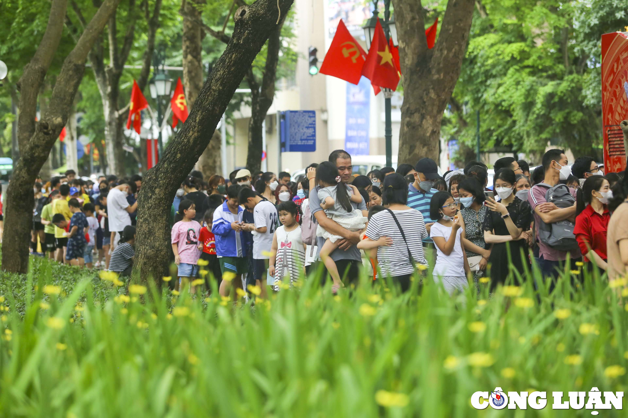 ha noi hang nghin nguoi xep hang dai cho di xe buyt hai tang mien phi hinh 8