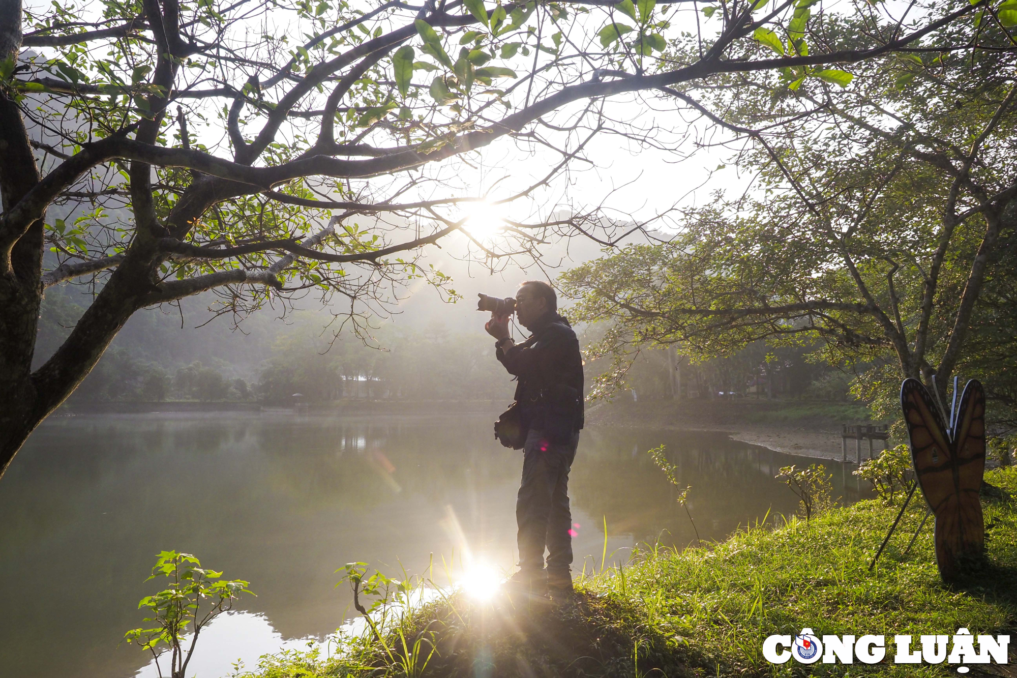 hang van canh buom du sac mau phu khap vuon quoc gia cuc phuong hinh 6