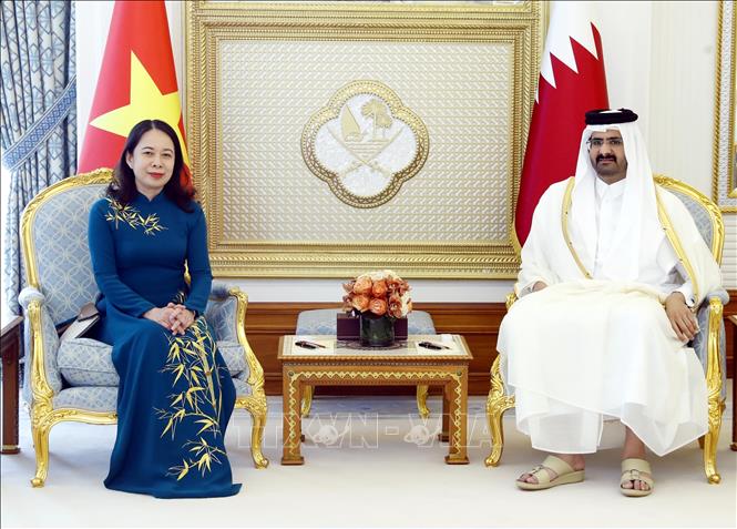 pho chu tich nuoc vo thi anh xuan hoi dam voi pho quoc vuong qatar abdullah bin hamad al thani hinh 1