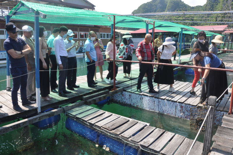 quang ninh ky vong vao du lich nong nghiep hinh 1