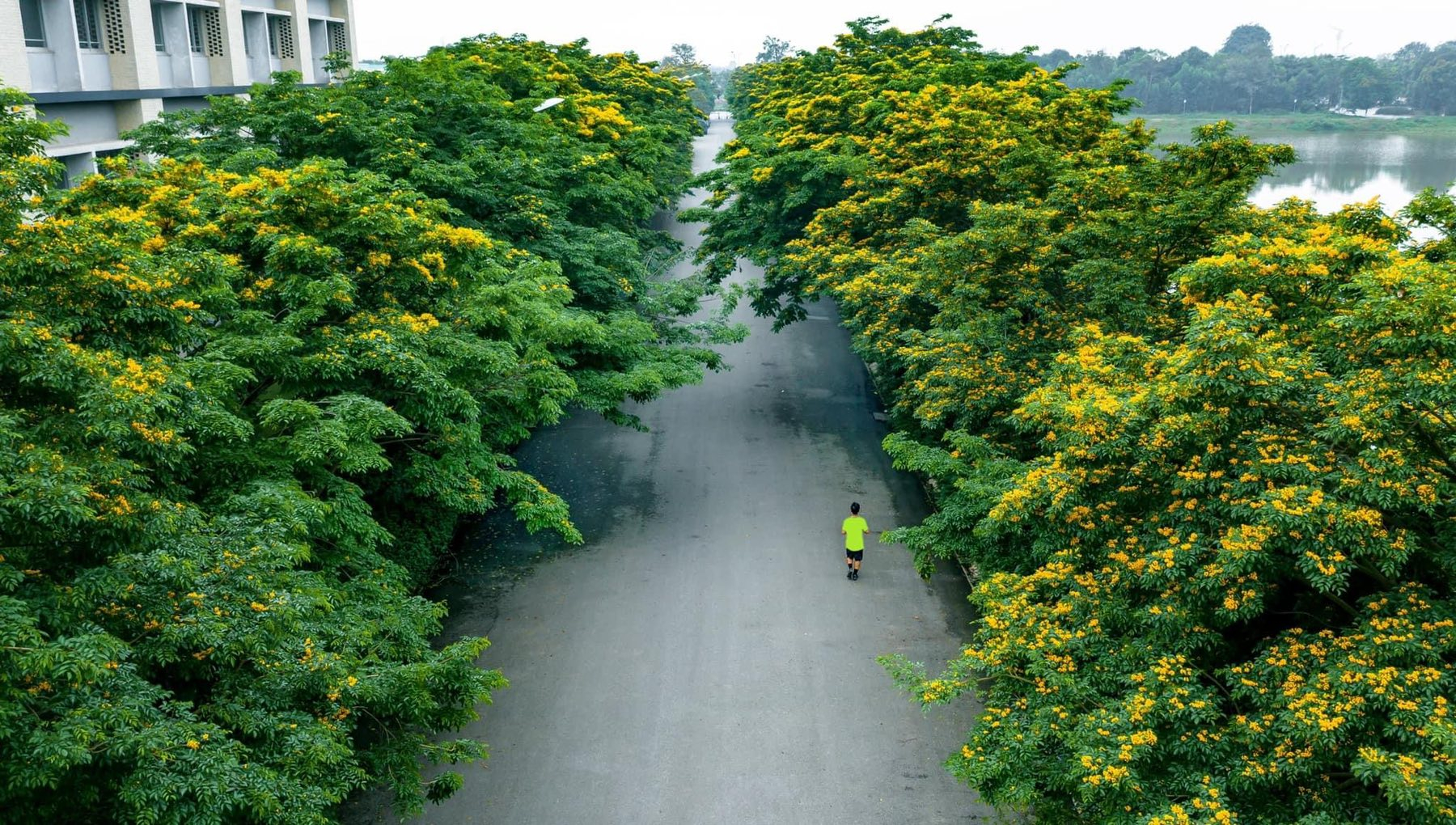 ecopark noi co gio chua lanh cho nguoi truong thanh va thien nhien hanh phuc cho tre nho hinh 2