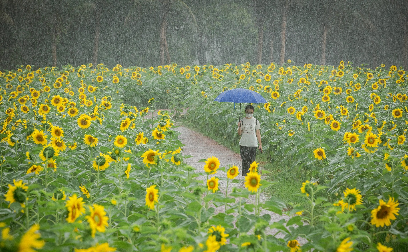 ecopark noi co gio chua lanh cho nguoi truong thanh va thien nhien hanh phuc cho tre nho hinh 3