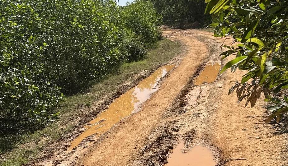 quang tri du an tien ty cham tien do nhieu nam hinh 1