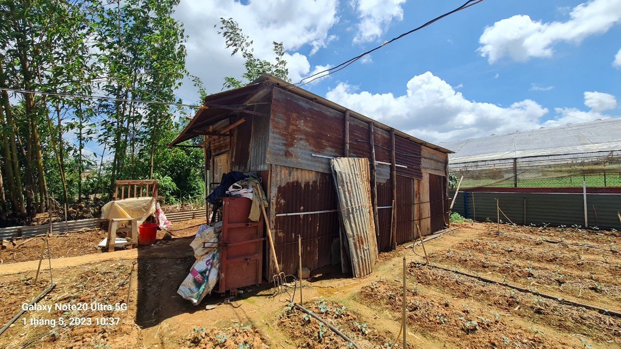 cong trinh trai phep ngang nhien tran lan tai da lat hinh 4