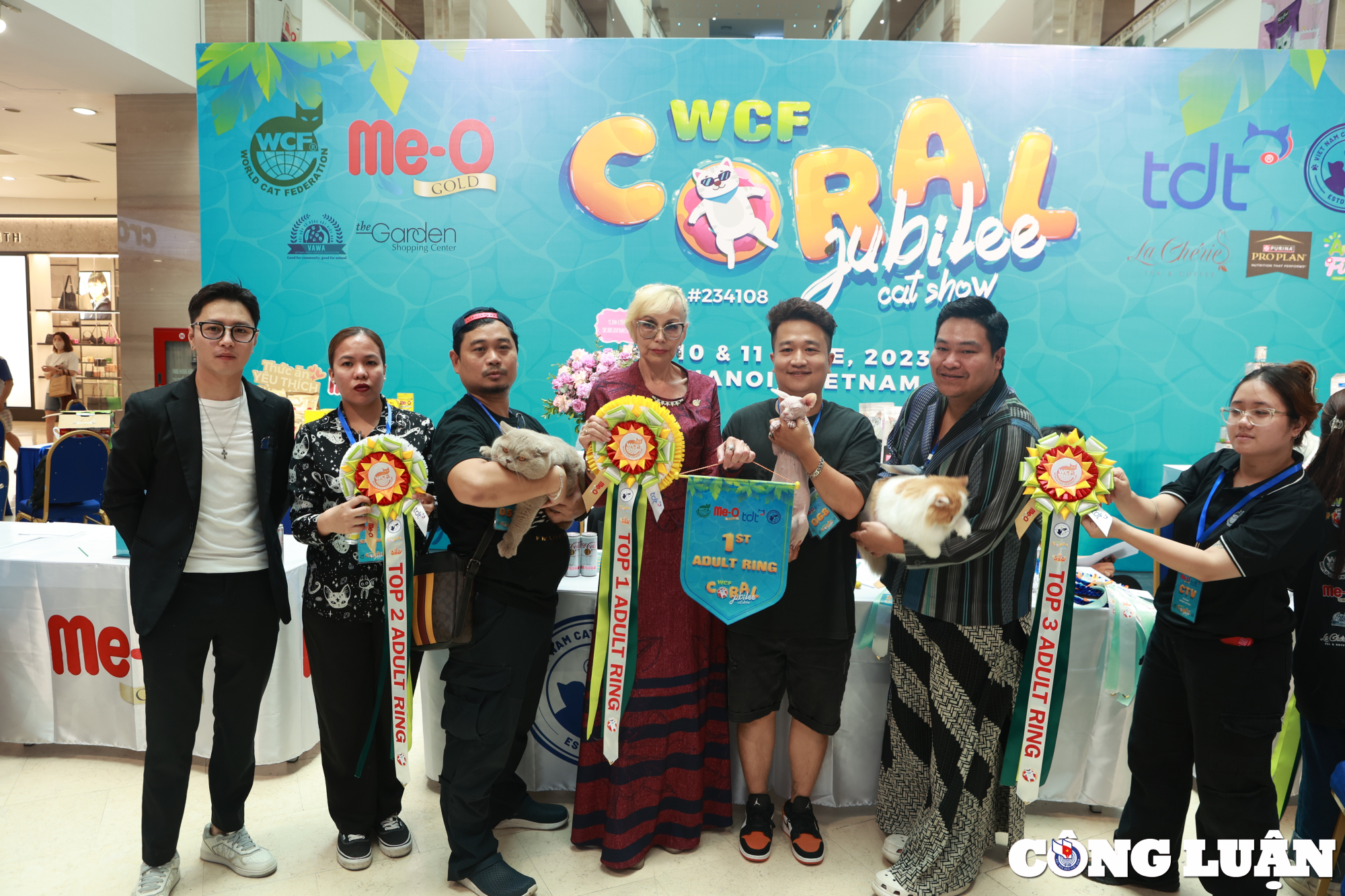 khi meo thi nhan sac tai wcf coral jubilee cat show 2023 hinh 1