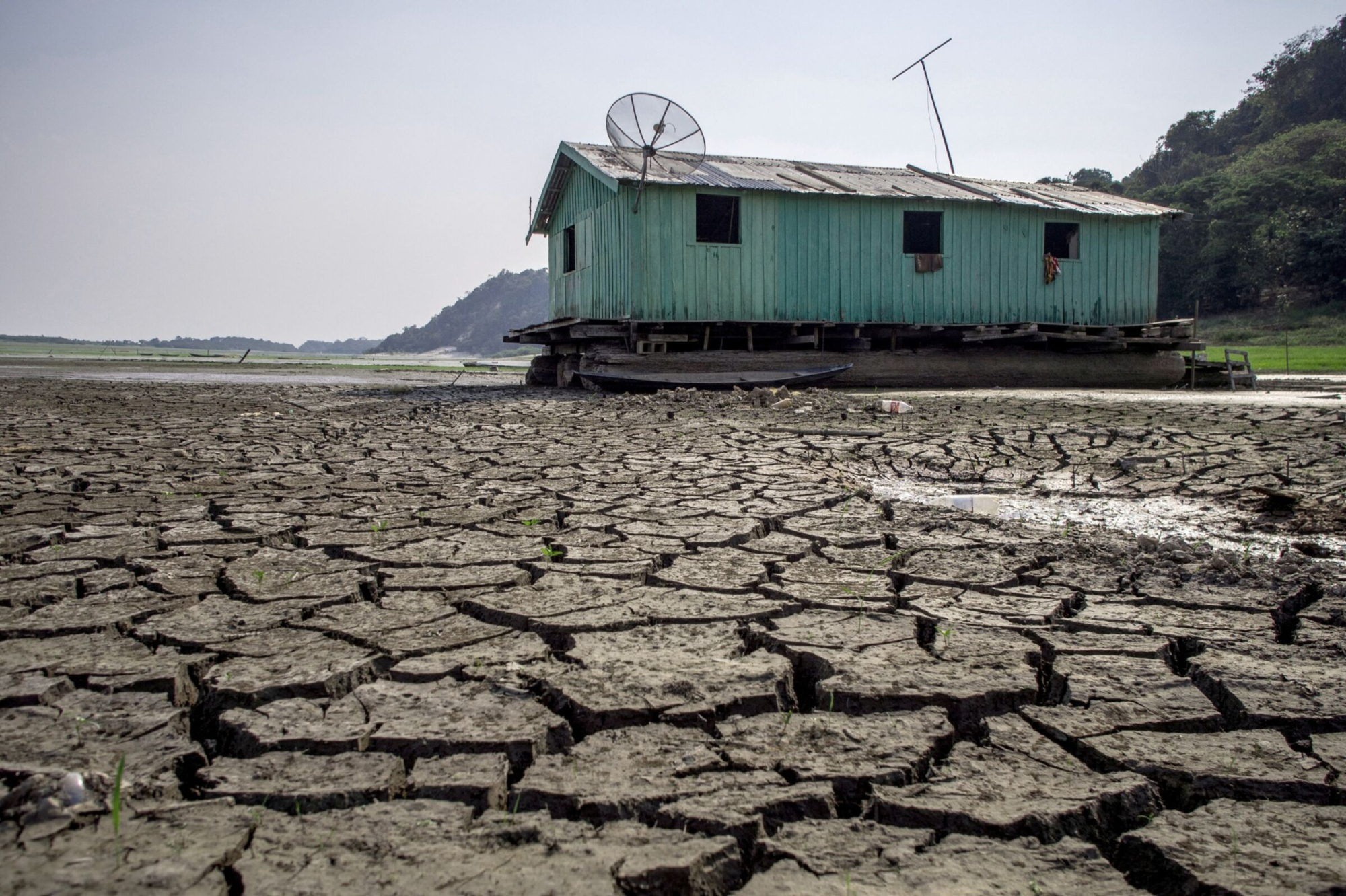 el nino dang tan pha nen kinh te toan cau hinh 1