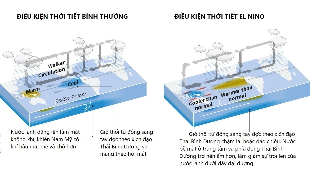 el nino da anh huong the nao den viet nam va cac nuoc hinh 2