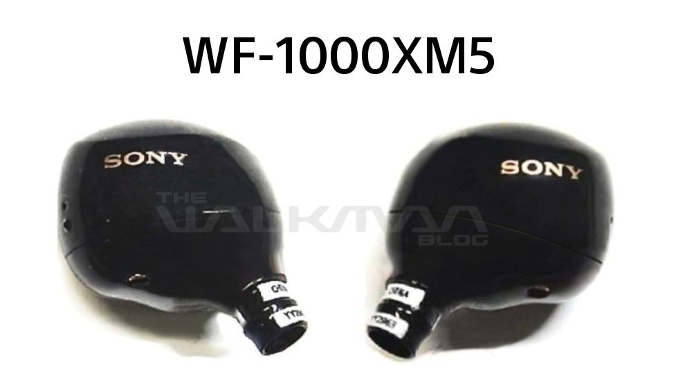 thong tin moi ve sony wf 1000xm5 hinh 2