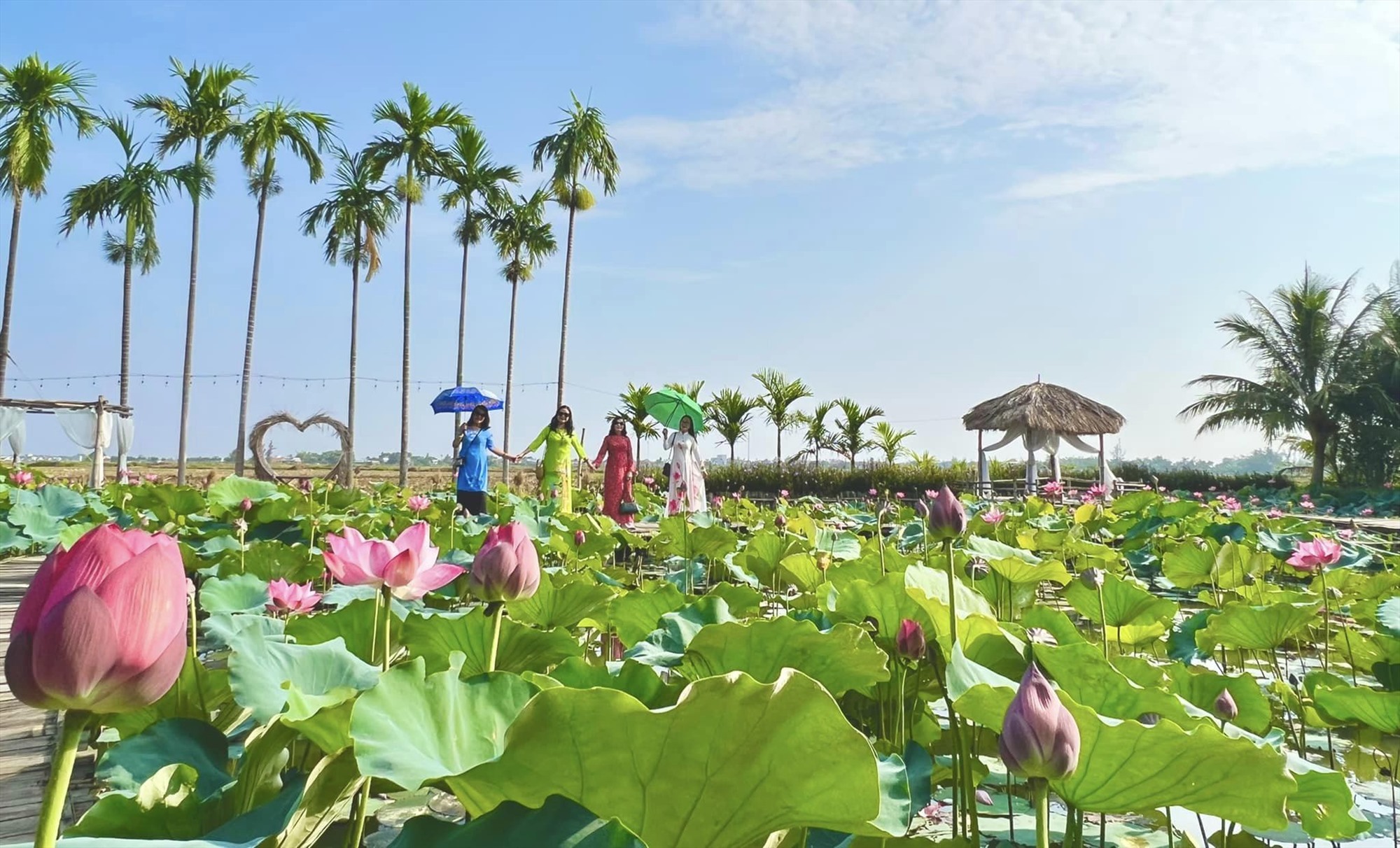 Mô hình du lịch sinh thái mô hình tiềm năng của du lịch Việt Nam