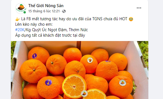 quyt uc do bo cho viet voi gia re nhat tu truoc toi nay chi 20000 dong kg hinh 3