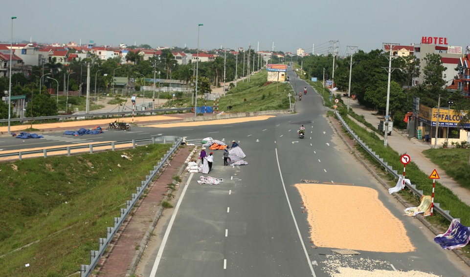 ha noi xu ly cac vi pham phoi thoc lua tren duong bo hinh 1