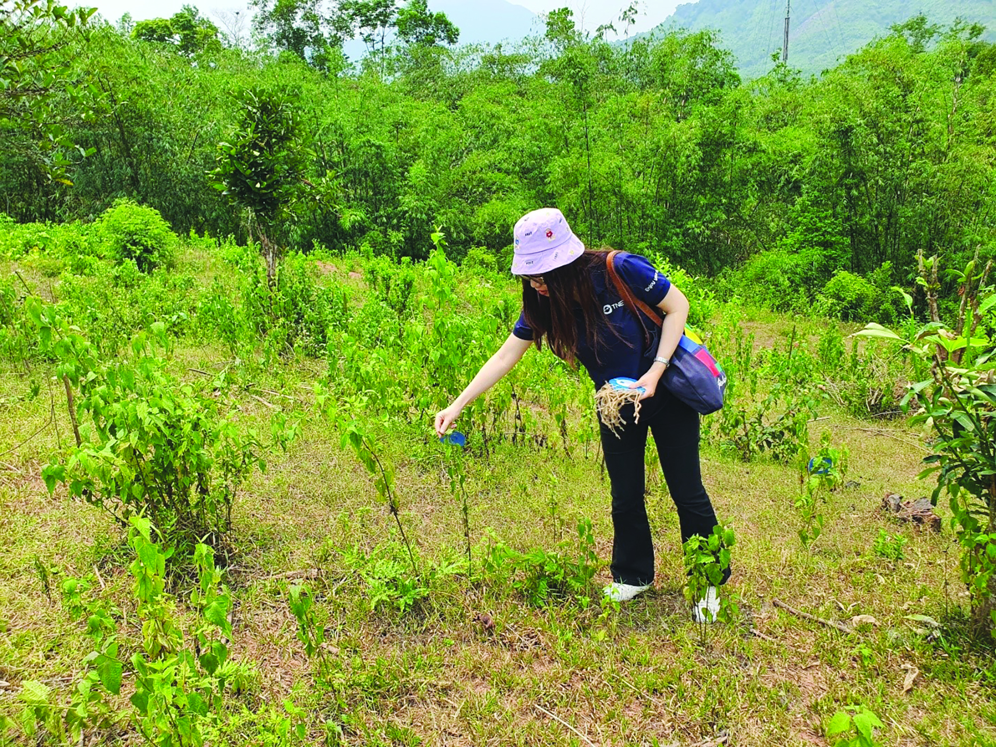 ba chan kieng phat trien ben vung cua tng holdings vietnam hinh 1