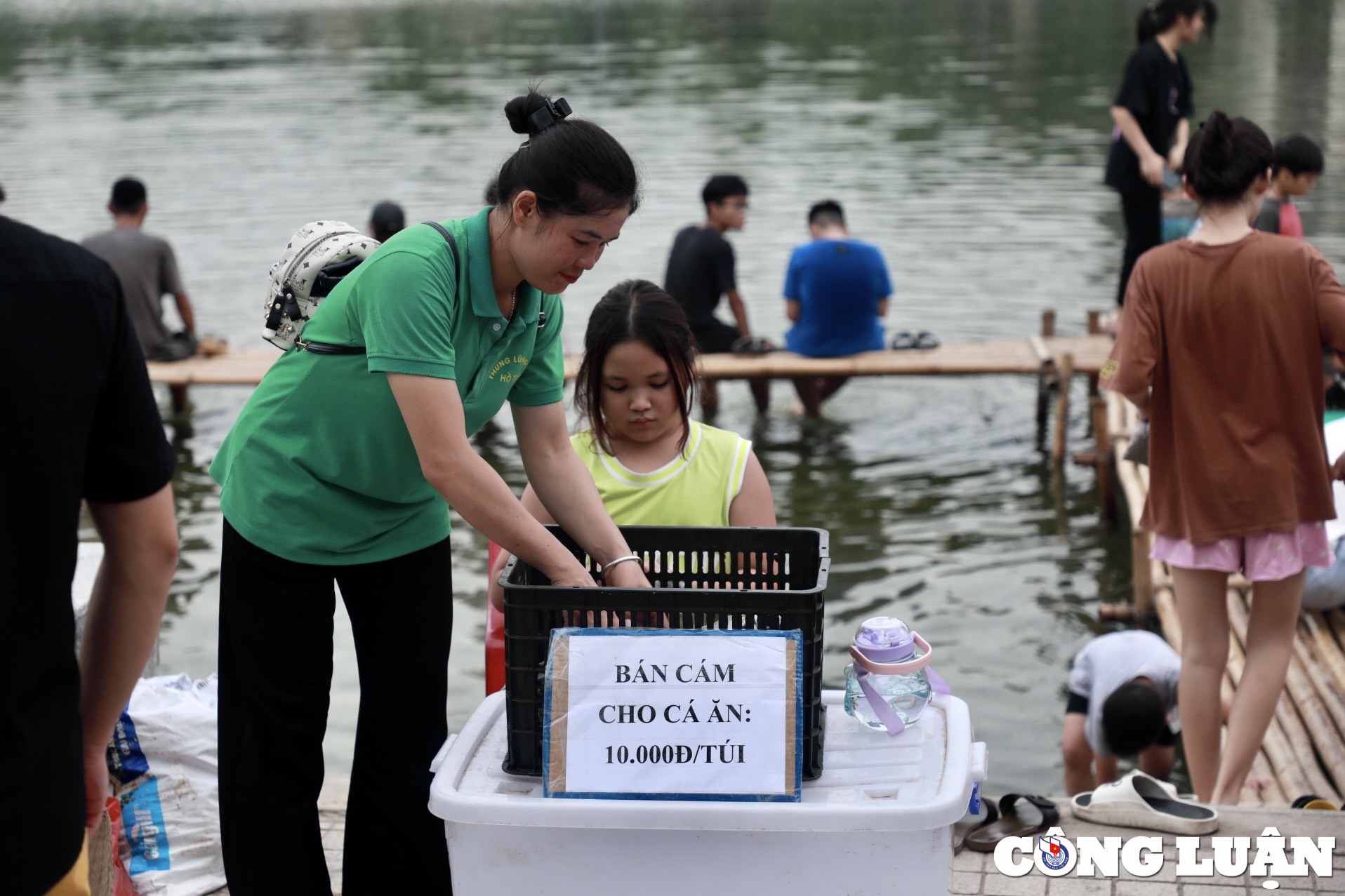 gioi tre ha noi thich thu vui dua voi hang nghin chu ca koi tuyet dep o ho tay hinh 9