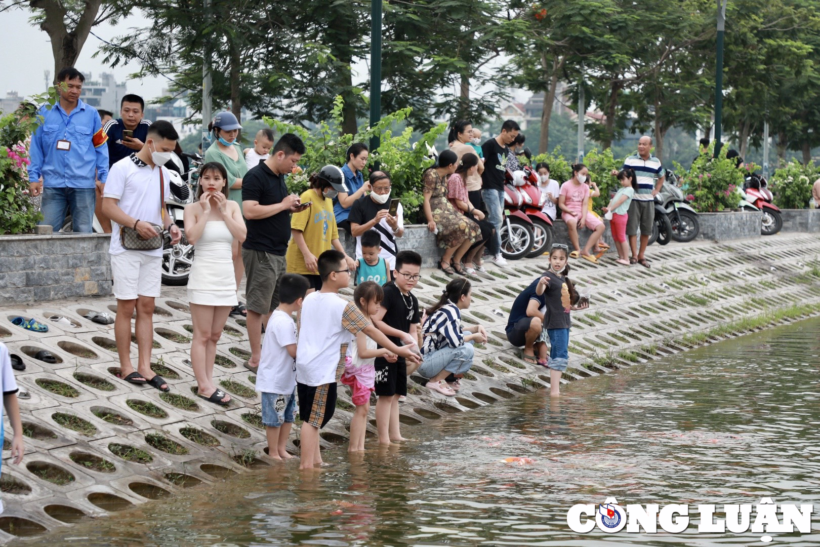 gioi tre ha noi thich thu vui dua voi hang nghin chu ca koi tuyet dep o ho tay hinh 2