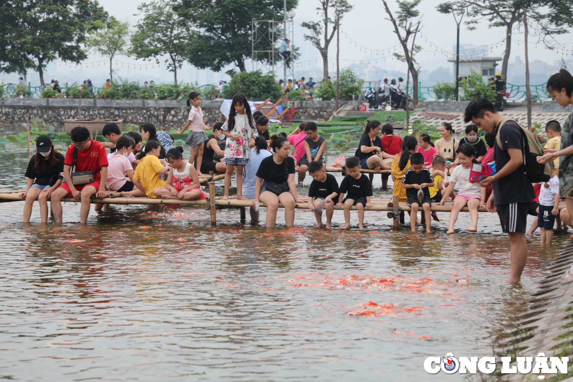 gioi tre ha noi thich thu vui dua voi hang nghin chu ca koi tuyet dep o ho tay hinh 1