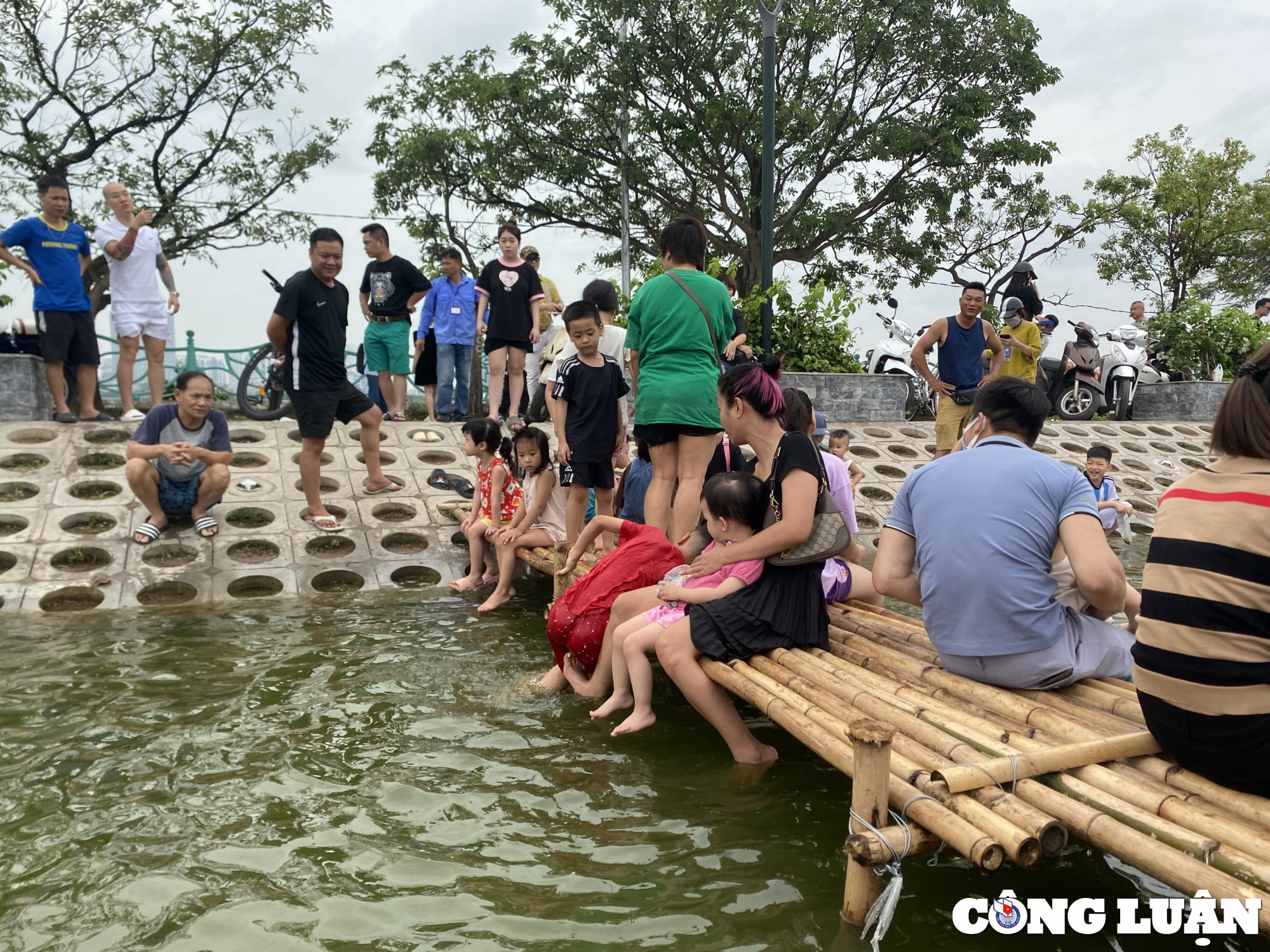 gioi tre ha noi thich thu vui dua voi hang nghin chu ca koi tuyet dep o ho tay hinh 12