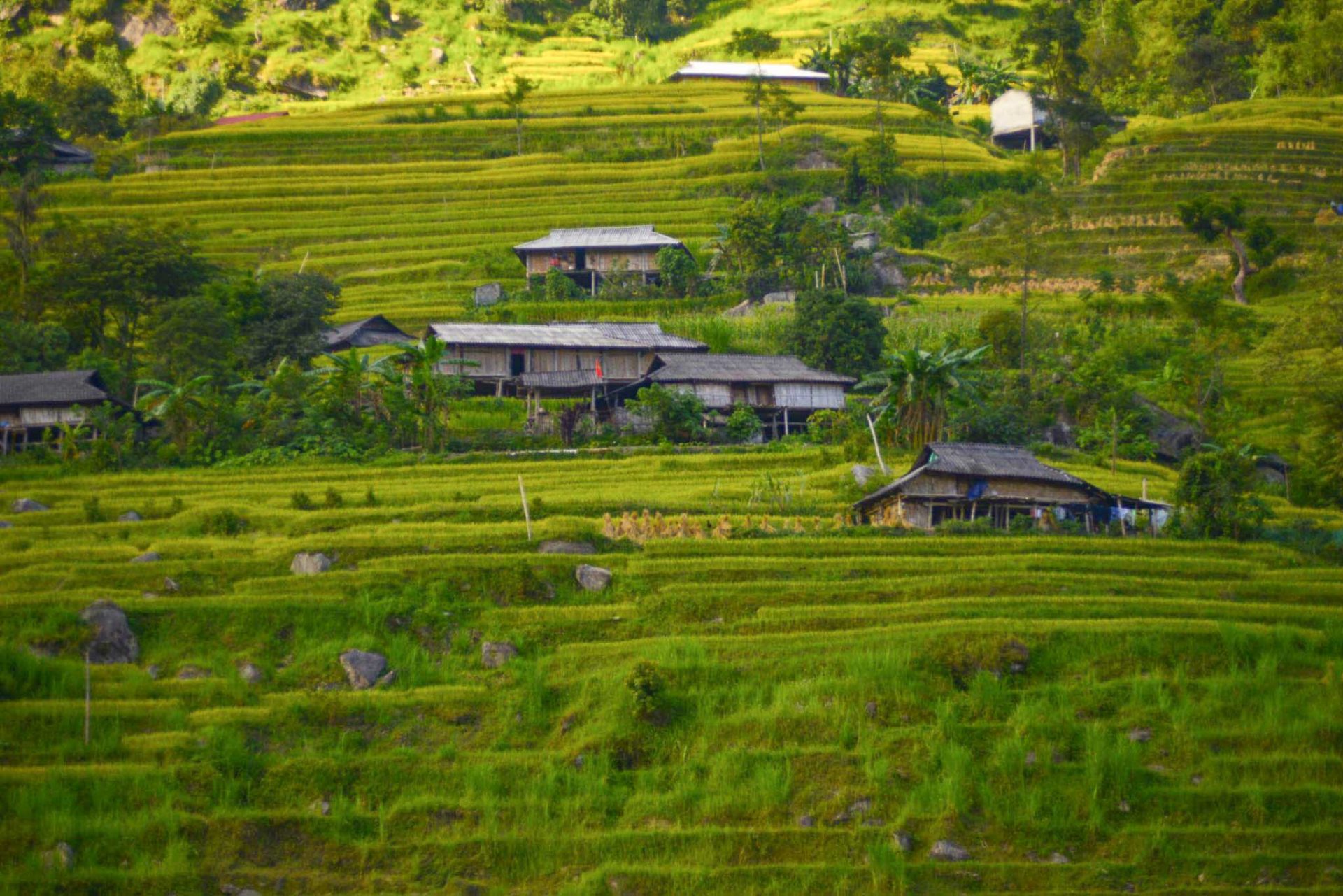 ha giang duoc chinh phu thuy si ho tro phat trien du lich hinh 3