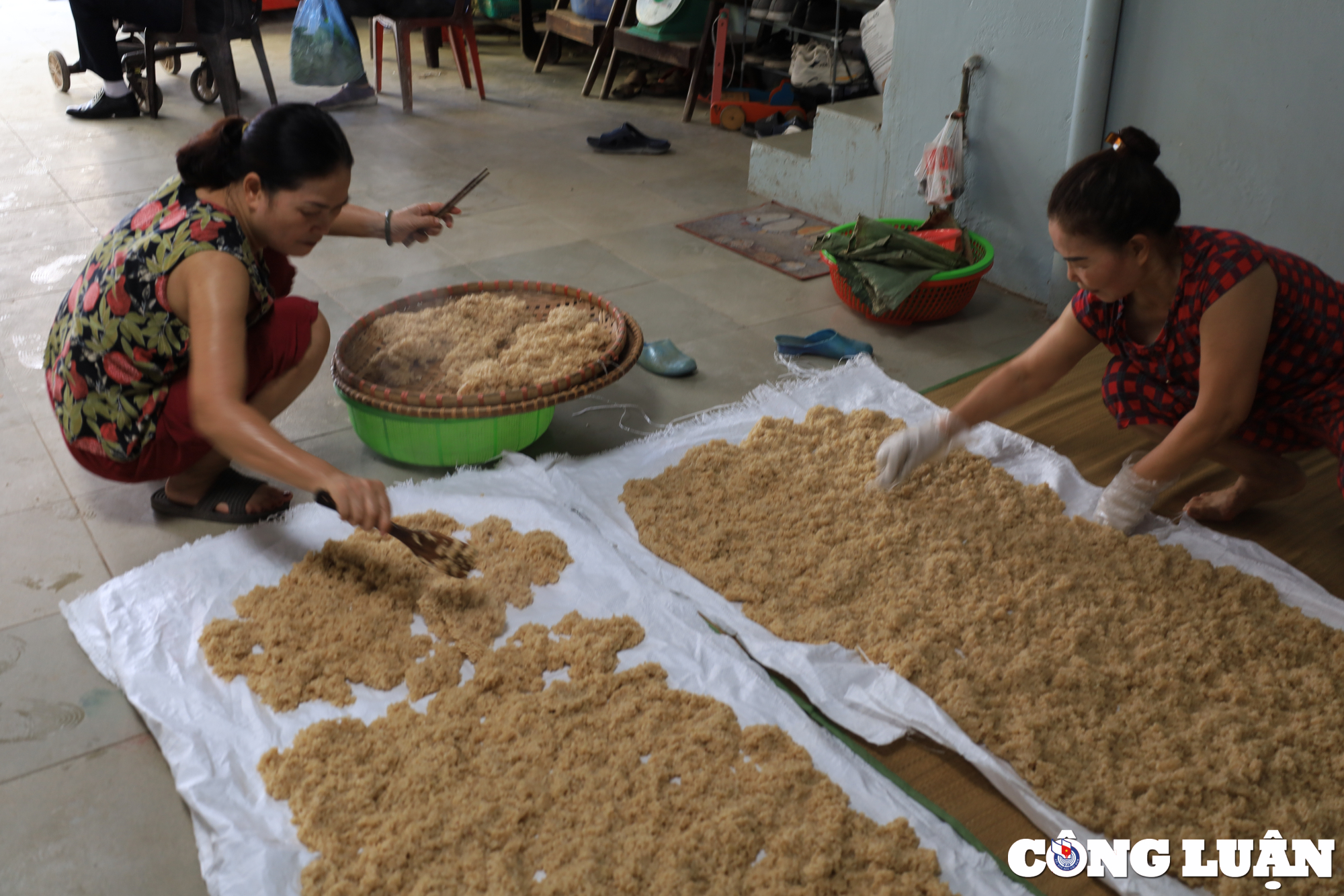 nguoi dan phu thuong ha noi tat bat lam com ruou nep phuc vu tet doan ngo hinh 5