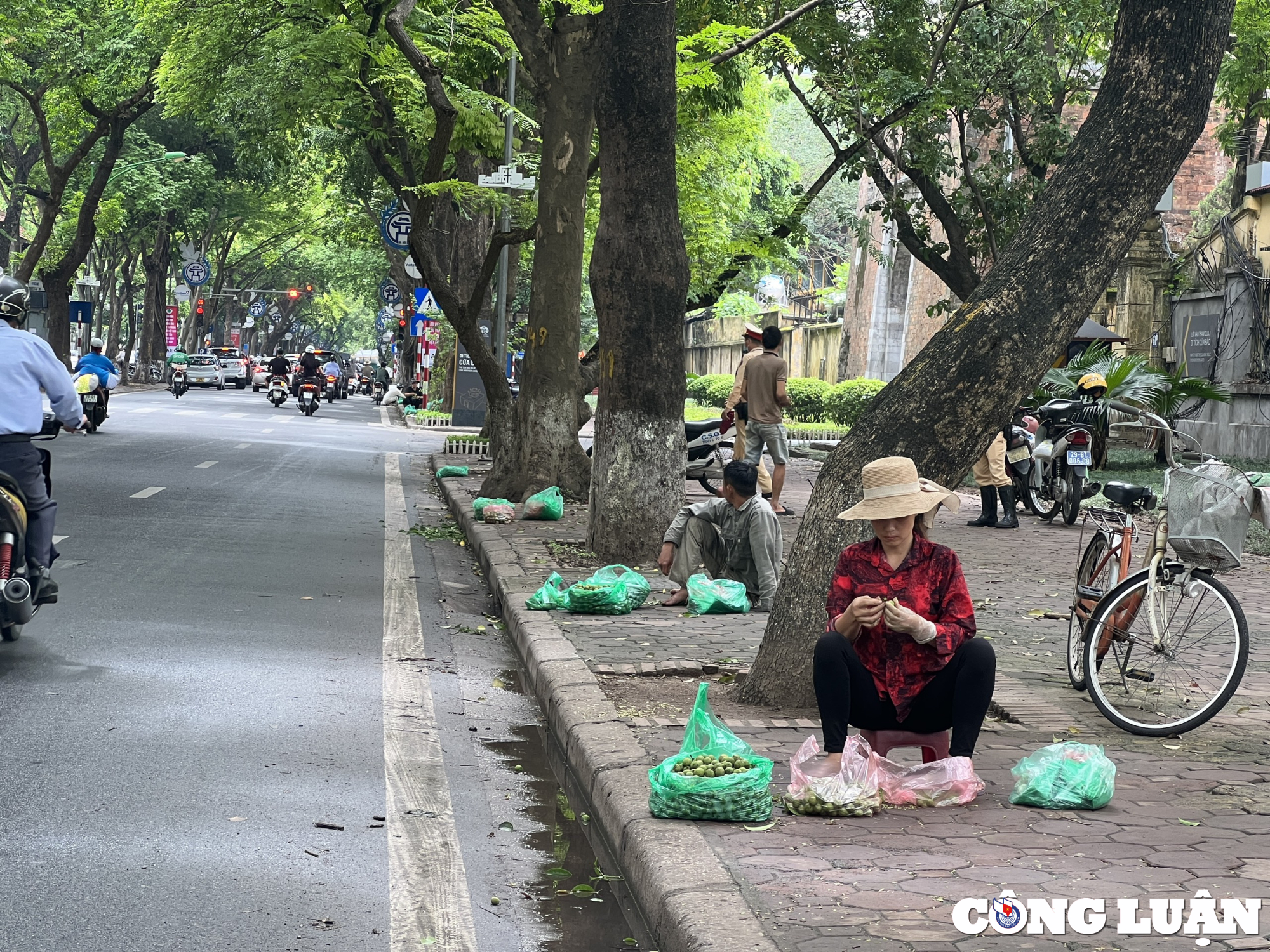 ha noi sau vao mua nguoi dan treo hai ban kiem tien trieu moi ngay hinh 3