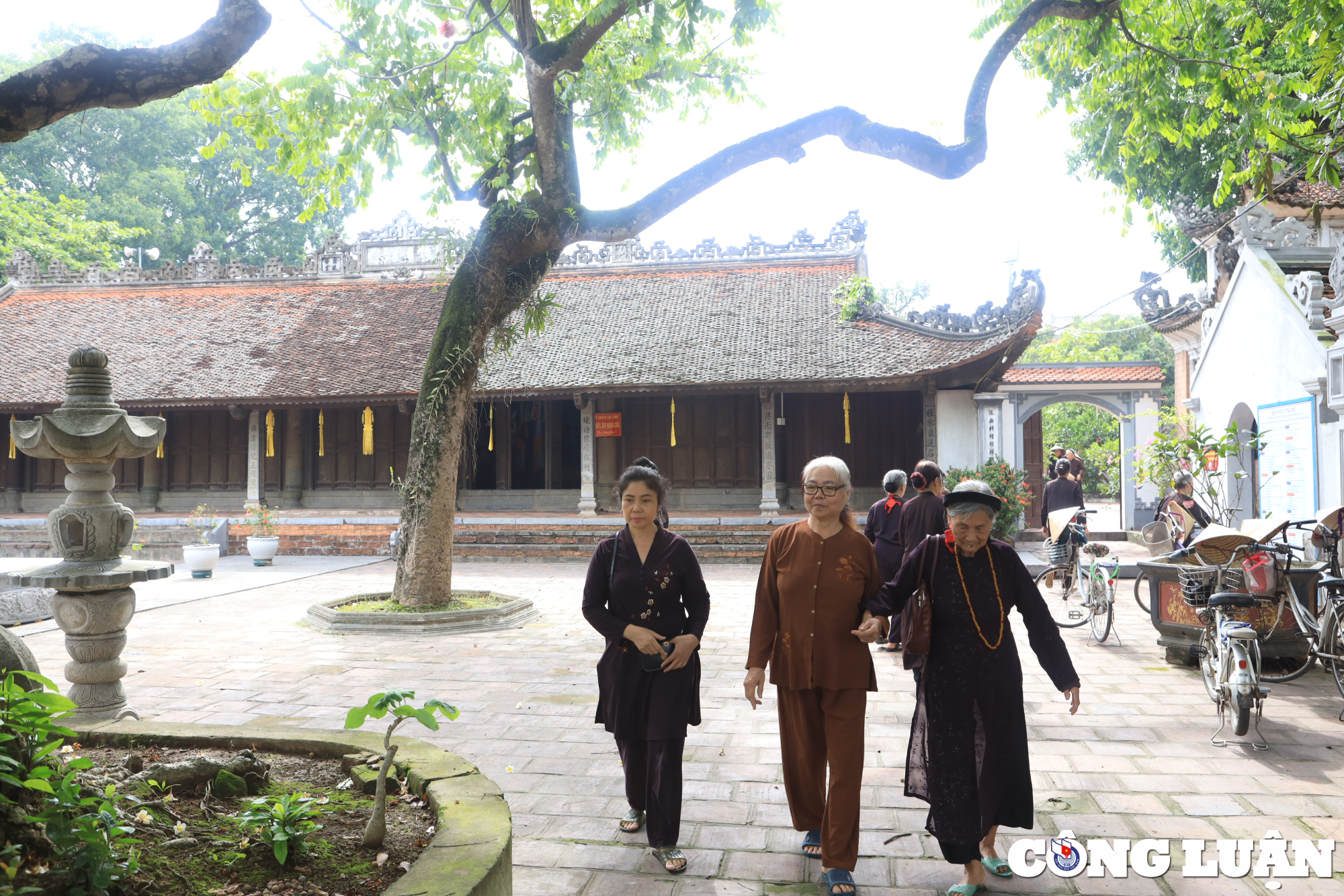 kham pha ngoi chua co o ha noi luu giu dau an lich su dat kinh ky hinh 1