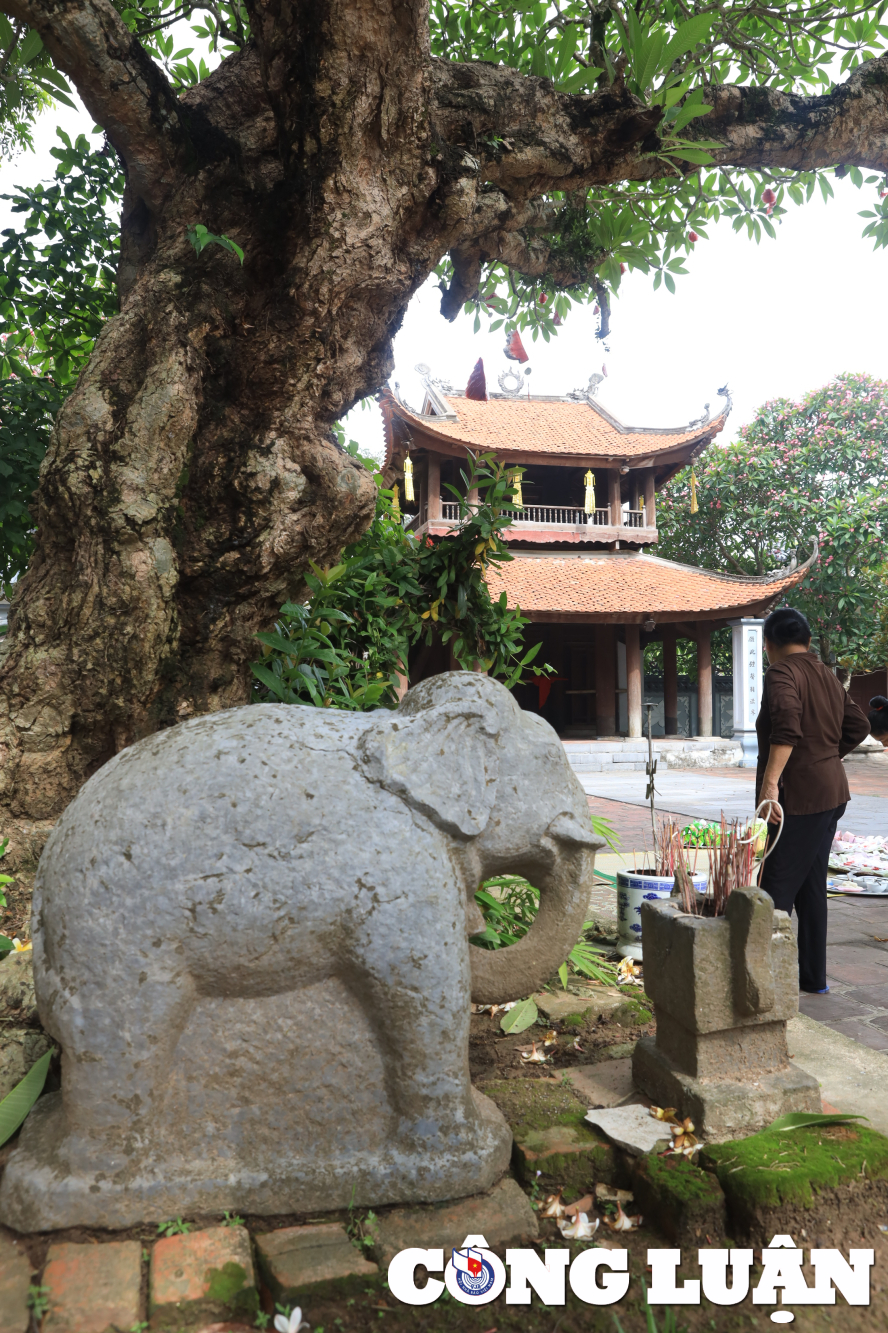 kham pha ngoi chua co o ha noi luu giu dau an lich su dat kinh ky hinh 8