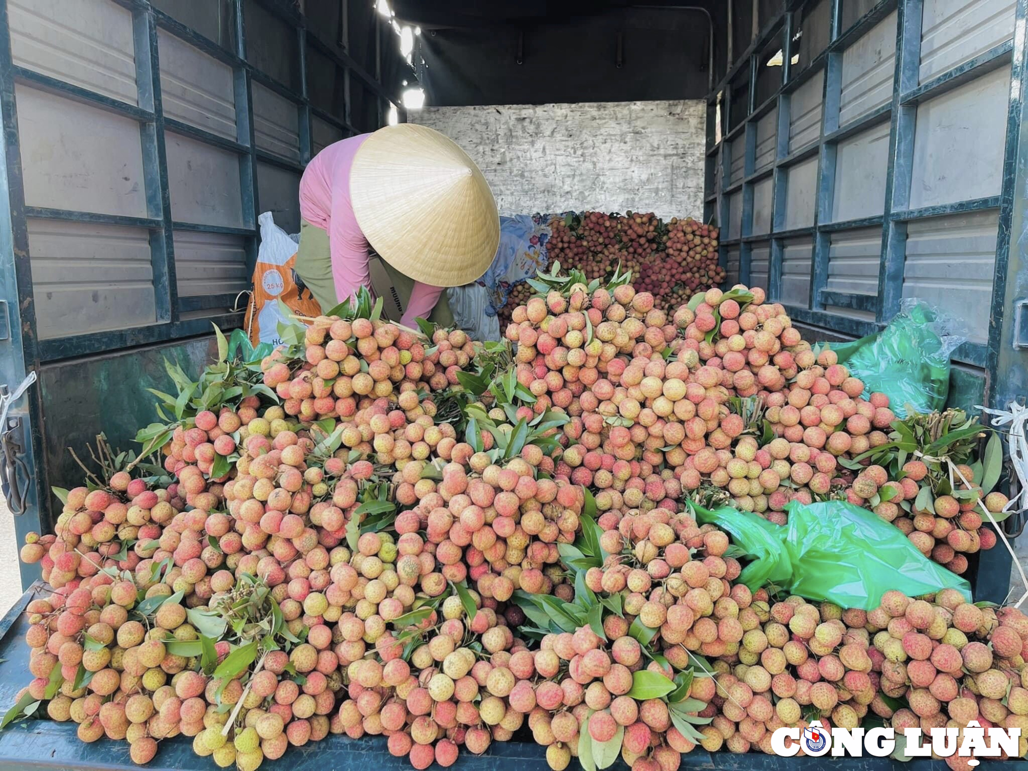 vai thieu thanh ha do bo doc cac tuyen pho ha noi moi noi mot gia hinh 2