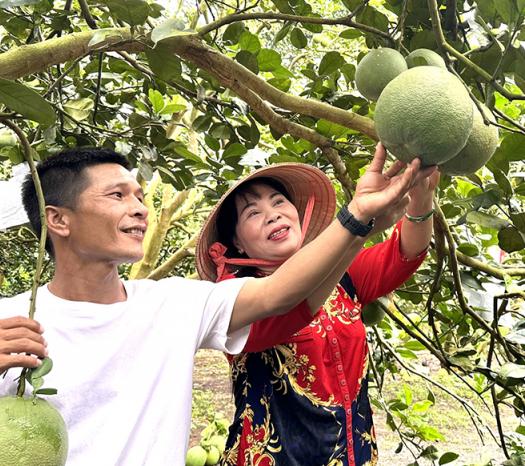 lam du lich tren nen nong thon moi o dong nai hinh 2