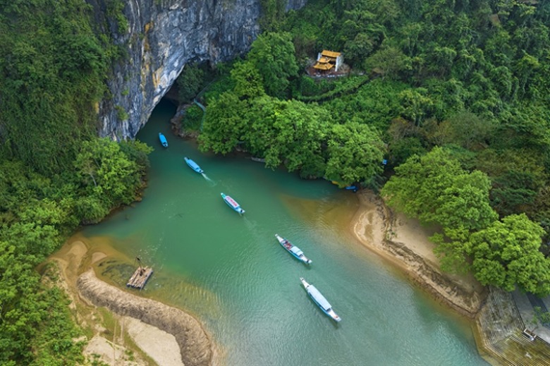 lo dien vuong quoc hang dong phong nha  ke bang hinh 1