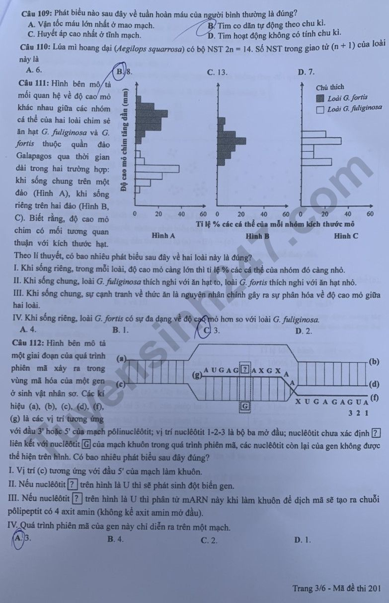 de thi tot nghiep thpt 2023 mon sinh hoc ma de 201 hinh 3