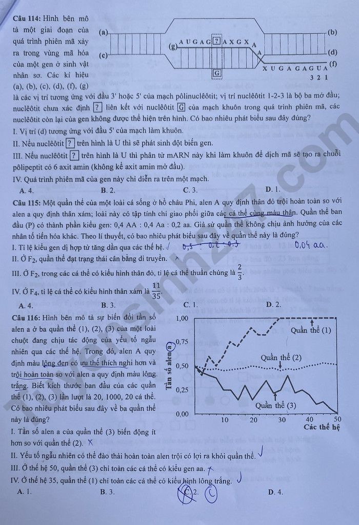 de thi tot nghiep thpt 2023 mon sinh hoc ma de 203 hinh 4